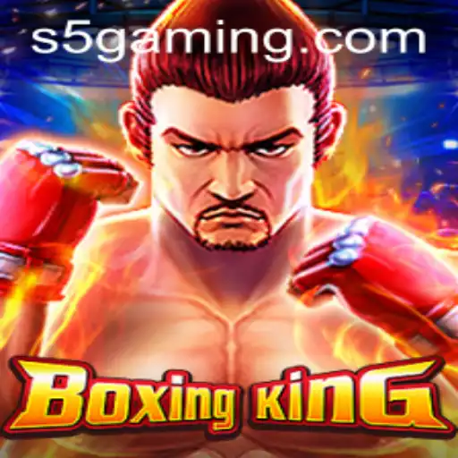 BoxingKing S5: Diving into the Dynamism of the Ultimate Fighting Game